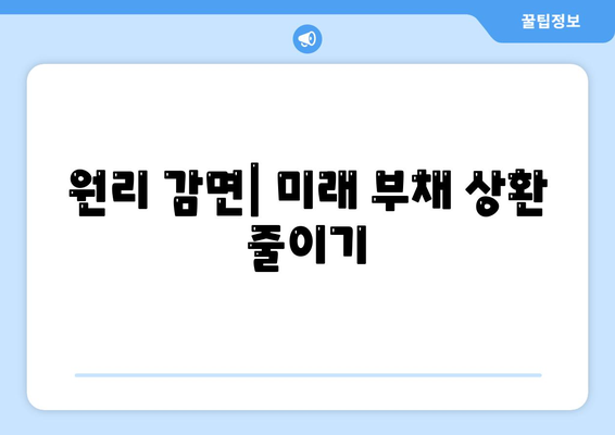 원리 감면| 미래 부채 상환 줄이기