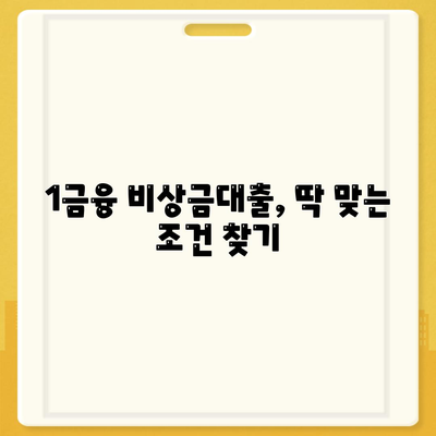 1금융 비상금대출