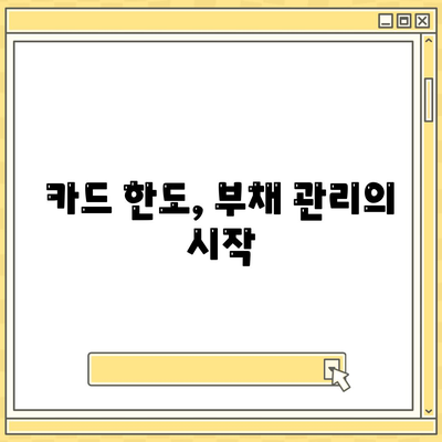 신용카드 한도를 최대한 활용하는 방법