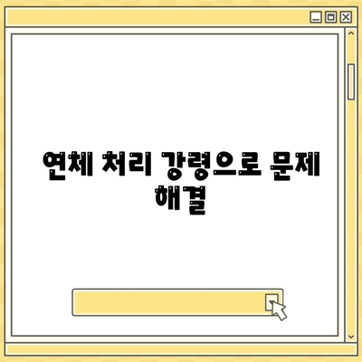 연체 처리 강령으로 문제 해결