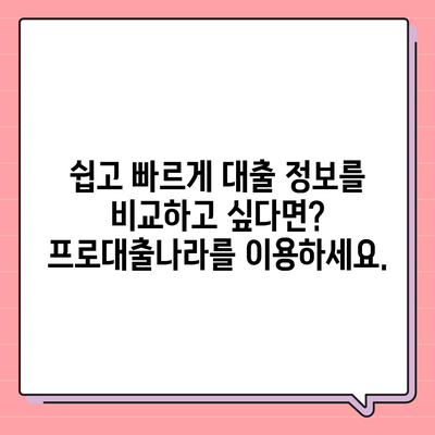 대출신청 궁금증 해결! 대출 정보의 집 프로대출나라