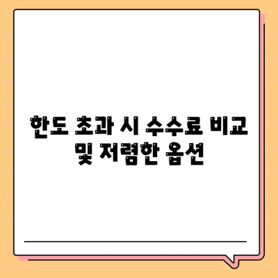 한도 초과 시 수수료 비교 및 저렴한 옵션