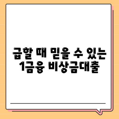 1금융 비상금대출