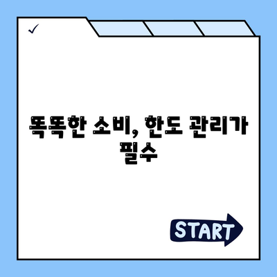 신용카드 한도를 최대한 활용하는 방법