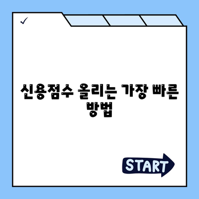 대출 거절 후 신용평가 향상 방법