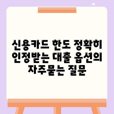 신용카드 한도 정확히 인정받는 대출 옵션