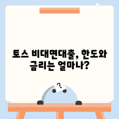 토스 비대면대출