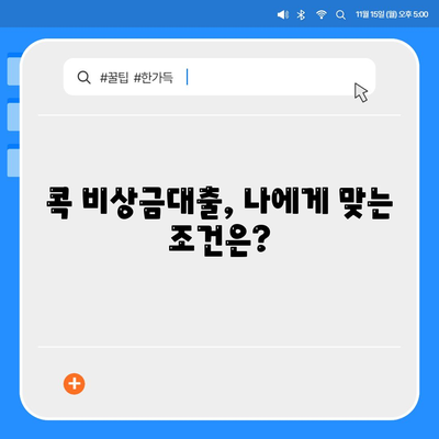 콕 비상금대출