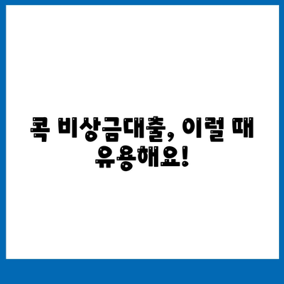 콕 비상금대출