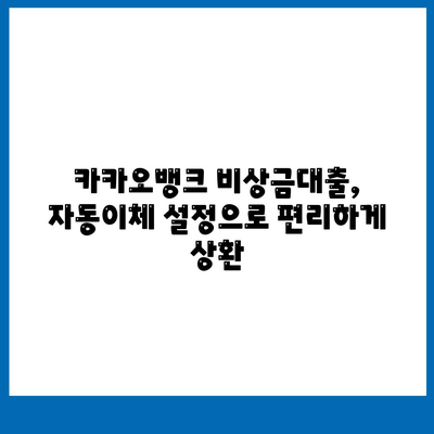 카카오뱅크 비상금대출 상환