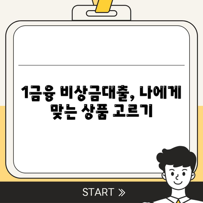 1금융 비상금대출