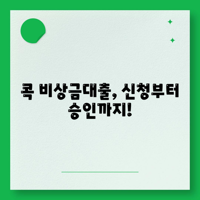 콕 비상금대출