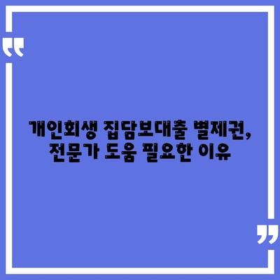 개인회생 집담보대출 별제권,절차 안내