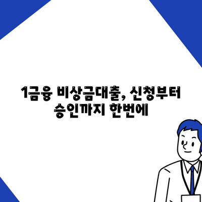 1금융 비상금대출