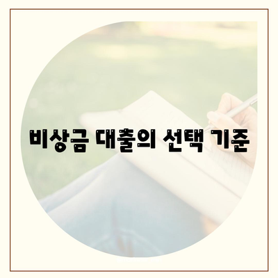 비상금 대출의 선택 기준