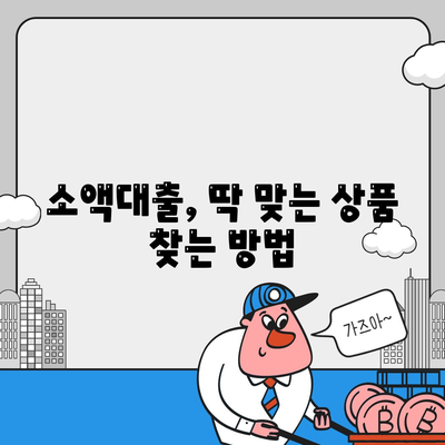 소액대출에 관한 정보