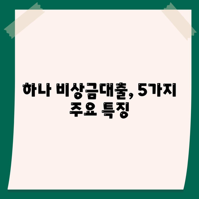 하나 비상금대출