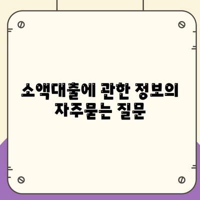 소액대출에 관한 정보