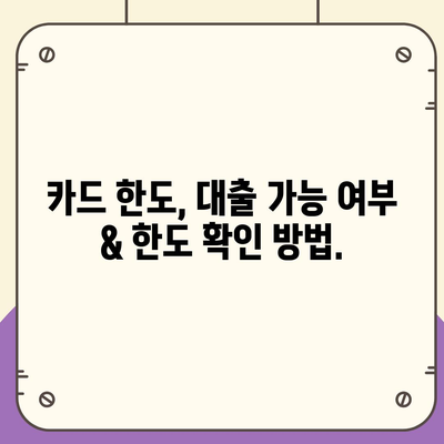 신용카드 한도 정확히 인정받는 대출 옵션