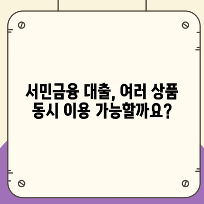 정부 지원 서민금융 대출, 중복 사용과 재신청 가능성