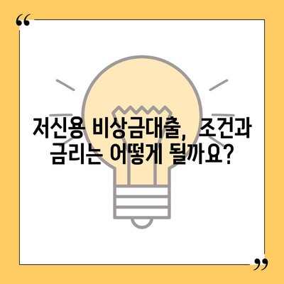 저신용 비상금대출