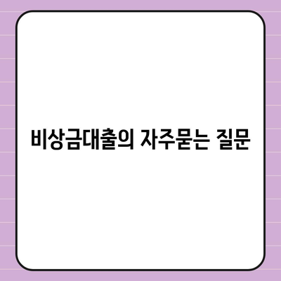 비상금대출