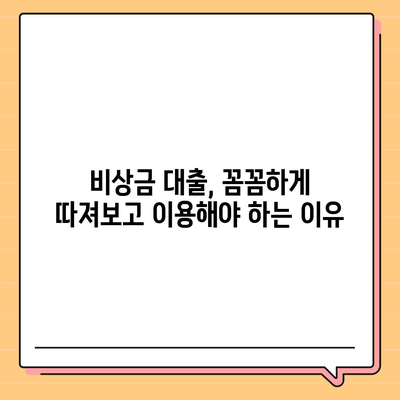 비상금 대출