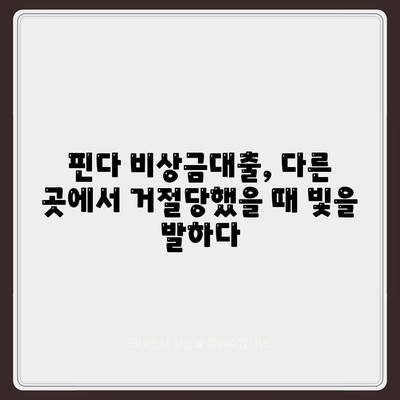 "다른 데 거절됐는데 핀다는 진짜 되네요" 핀다 비상금대출 후기