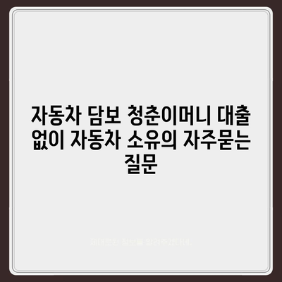 자동차 담보 청춘이머니 대출 없이 자동차 소유