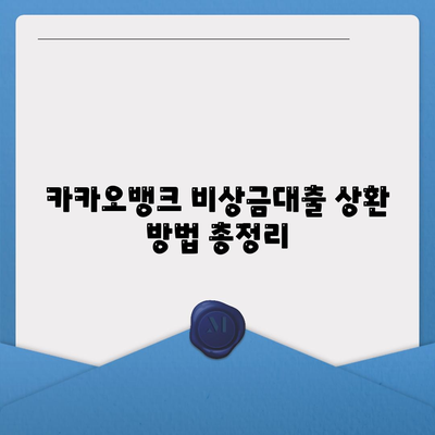 카카오뱅크 비상금대출 상환