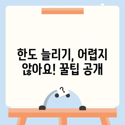 신용카드 잔액 한도, 정확하게 인정하는 방법