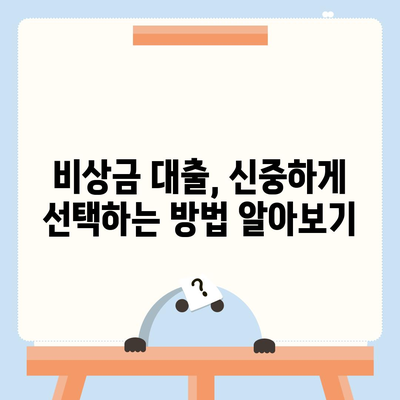 비상금 대출