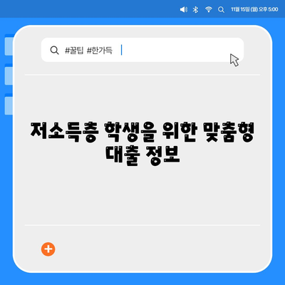 저소득 대학생을 위한 대출 옵션