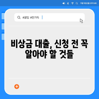 비상금대출