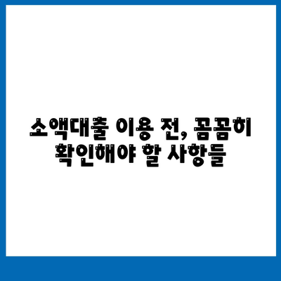 소액대출 이해하기