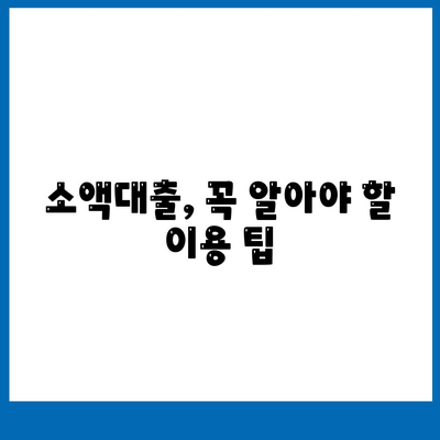 소액대출에 관한 정보