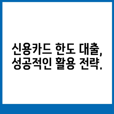 신용카드 한도 정확히 인정받는 대출 옵션