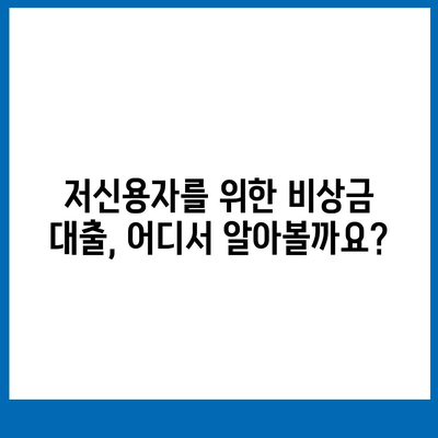 저신용 비상금대출