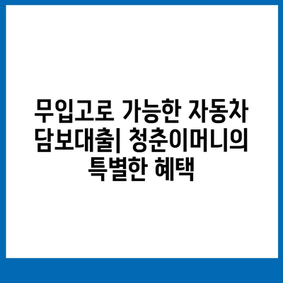 무입고 자동차 담보대출 청춘이머니