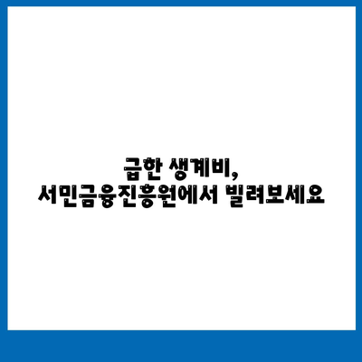 서민금융진흥원의 소액 생계비 대출 이해하기