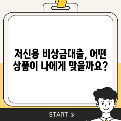 저신용 비상금대출