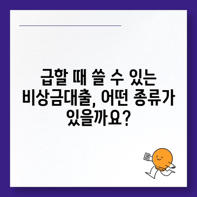 비상금대출 종류