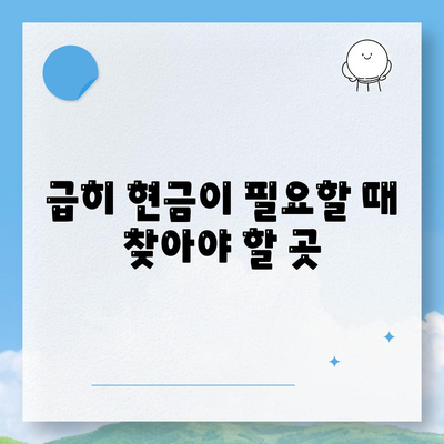 급히 현금이 필요할 때 찾아야 할 곳