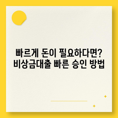 비상금대출 종류