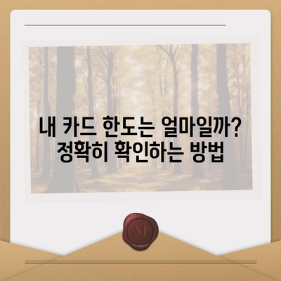 신용카드 잔액 한도, 정확하게 인정하는 방법