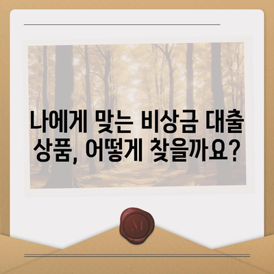 비상금대출