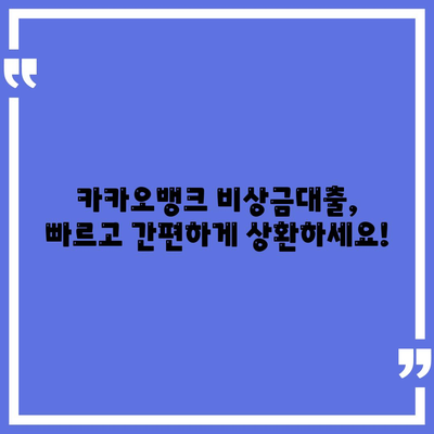 카카오뱅크 비상금대출 상환