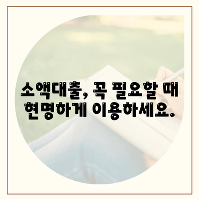 소액대출 이해하기