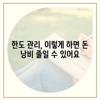 신용카드 잔액 한도, 정확하게 인정하는 방법