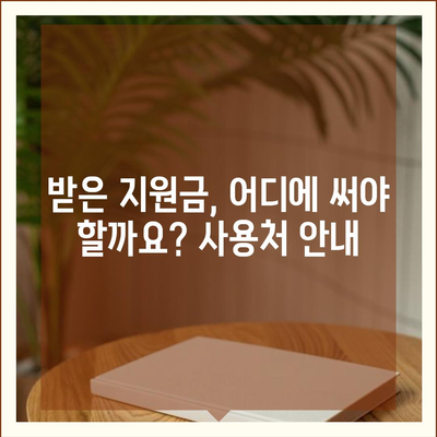 광주시 서구 양3동 민생회복지원금 | 신청 | 신청방법 | 대상 | 지급일 | 사용처 | 전국민 | 이재명 | 2024